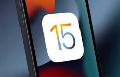 iOS 15.5与iPadOS 15.5 修复近 30 个安全漏洞
