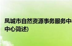 凤城市自然资源事务服务中心(关于凤城市自然资源事务服务中心简述)
