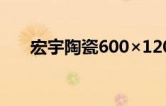 宏宇陶瓷600×1200（宏宇陶瓷价格）