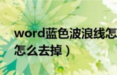 word蓝色波浪线怎么加（word蓝色波浪线怎么去掉）