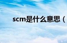 scm是什么意思（scm是什么意思？）