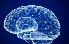 AI在睡眠后学习力可媲美人脑
