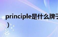 principle是什么牌子（principle是什么软件）