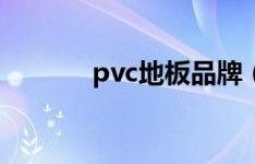 pvc地板品牌（pvc地板品牌）