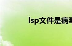 lsp文件是病毒吗（lsp文件）