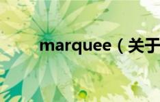 marquee（关于marquee的介绍）