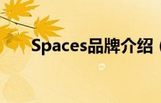 Spaces品牌介绍（Spaces共享办公）