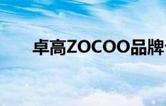 卓高ZOCOO品牌介绍（卓高美缝剂）