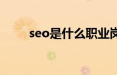 seo是什么职业岗位（SEO是什么）