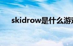 skidrow是什么游戏（ow是什么游戏）
