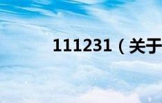 111231（关于111231的介绍）