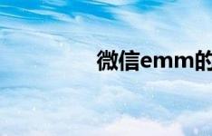 微信emm的表达是什么？