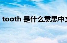 tooth 是什么意思中文（tooth是什么意思）