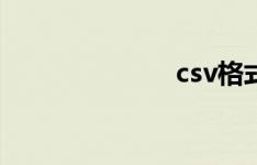 csv格式（csv）