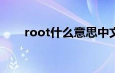root什么意思中文（root什么意思）