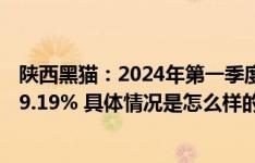 陕西黑猫：2024年第一季度净利润-2.12亿元，同比下降479.19% 具体情况是怎么样的?