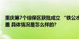 重庆第7个综保区获批成立 “铁公水空”开放通道实现全覆盖 具体情况是怎么样的?